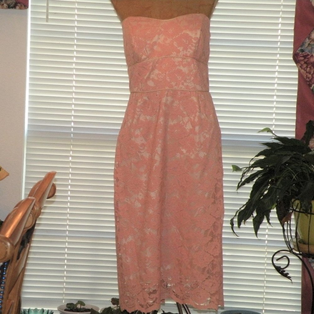 NWT $195 Pink Lace Strapless Dress MOLLY NEW YORK M 10 Party Cruise